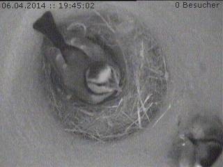 Benutzerübermitteltes Bild