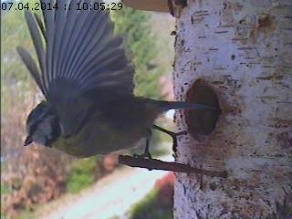 Benutzerübermitteltes Bild