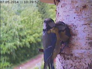 Benutzerübermitteltes Bild