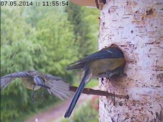 Benutzerübermitteltes Bild