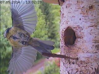 Benutzerübermitteltes Bild