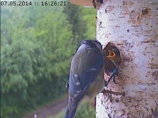 Benutzerübermitteltes Bild