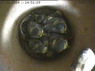 Benutzerübermitteltes Bild