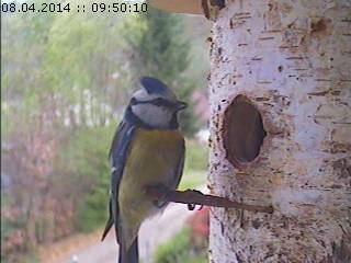 Benutzerübermitteltes Bild