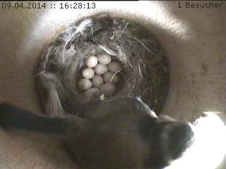 Benutzerübermitteltes Bild