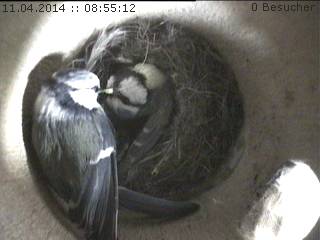 Benutzerübermitteltes Bild