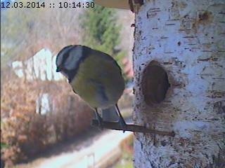 Benutzerübermitteltes Bild