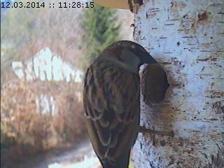 Benutzerübermitteltes Bild