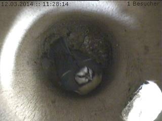 Benutzerübermitteltes Bild