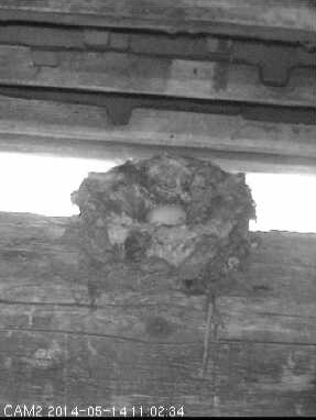 Benutzerübermitteltes Bild