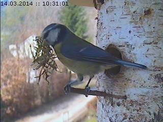 Benutzerübermitteltes Bild