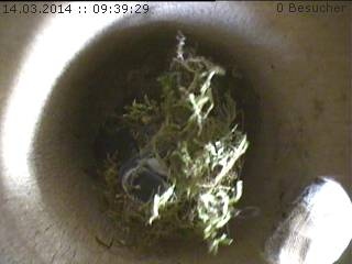 Benutzerübermitteltes Bild