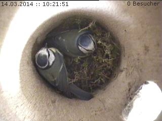 Benutzerübermitteltes Bild