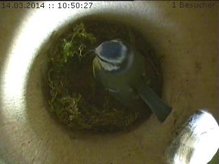 Benutzerübermitteltes Bild