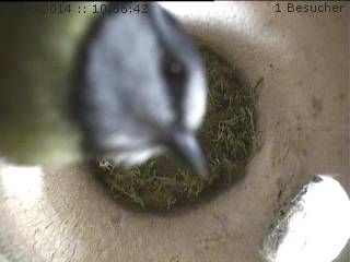 Benutzerübermitteltes Bild