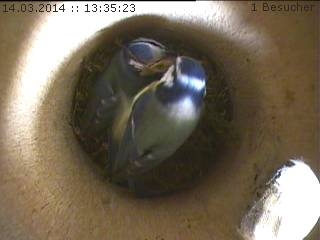 Benutzerübermitteltes Bild