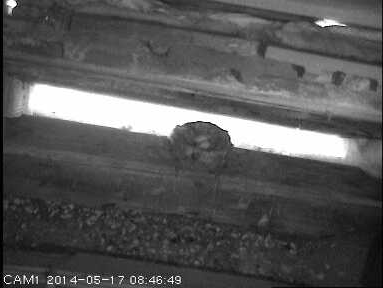 Benutzerübermitteltes Bild