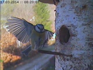 Benutzerübermitteltes Bild