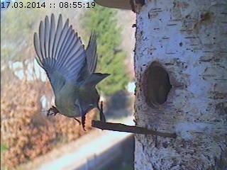 Benutzerübermitteltes Bild