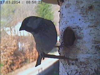 Benutzerübermitteltes Bild