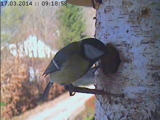 Benutzerübermitteltes Bild