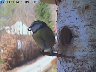 Benutzerübermitteltes Bild