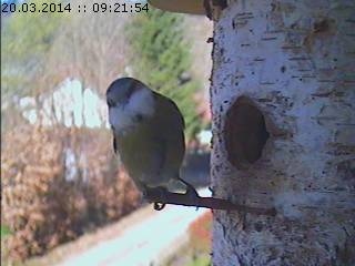 Benutzerübermitteltes Bild