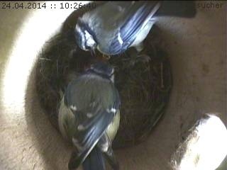 Benutzerübermitteltes Bild