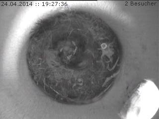 Benutzerübermitteltes Bild