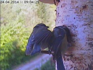 Benutzerübermitteltes Bild