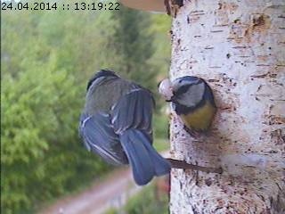 Benutzerübermitteltes Bild