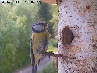 Benutzerübermitteltes Bild