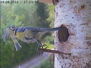 Benutzerübermitteltes Bild