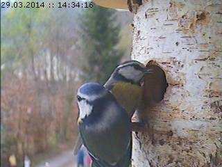 Benutzerübermitteltes Bild