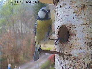 Benutzerübermitteltes Bild