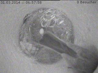 Benutzerübermitteltes Bild