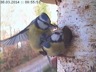 Benutzerübermitteltes Bild