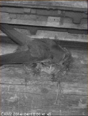 Benutzerübermitteltes Bild