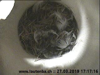 Benutzerübermitteltes Bild