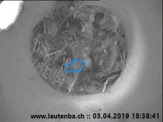 Benutzerübermitteltes Bild