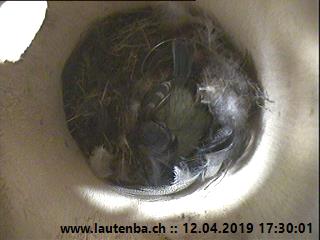 Benutzerübermitteltes Bild