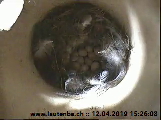 Benutzerübermitteltes Bild