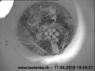 Benutzerübermitteltes Bild