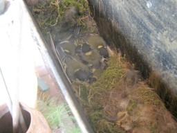 Benutzerübermitteltes Bild